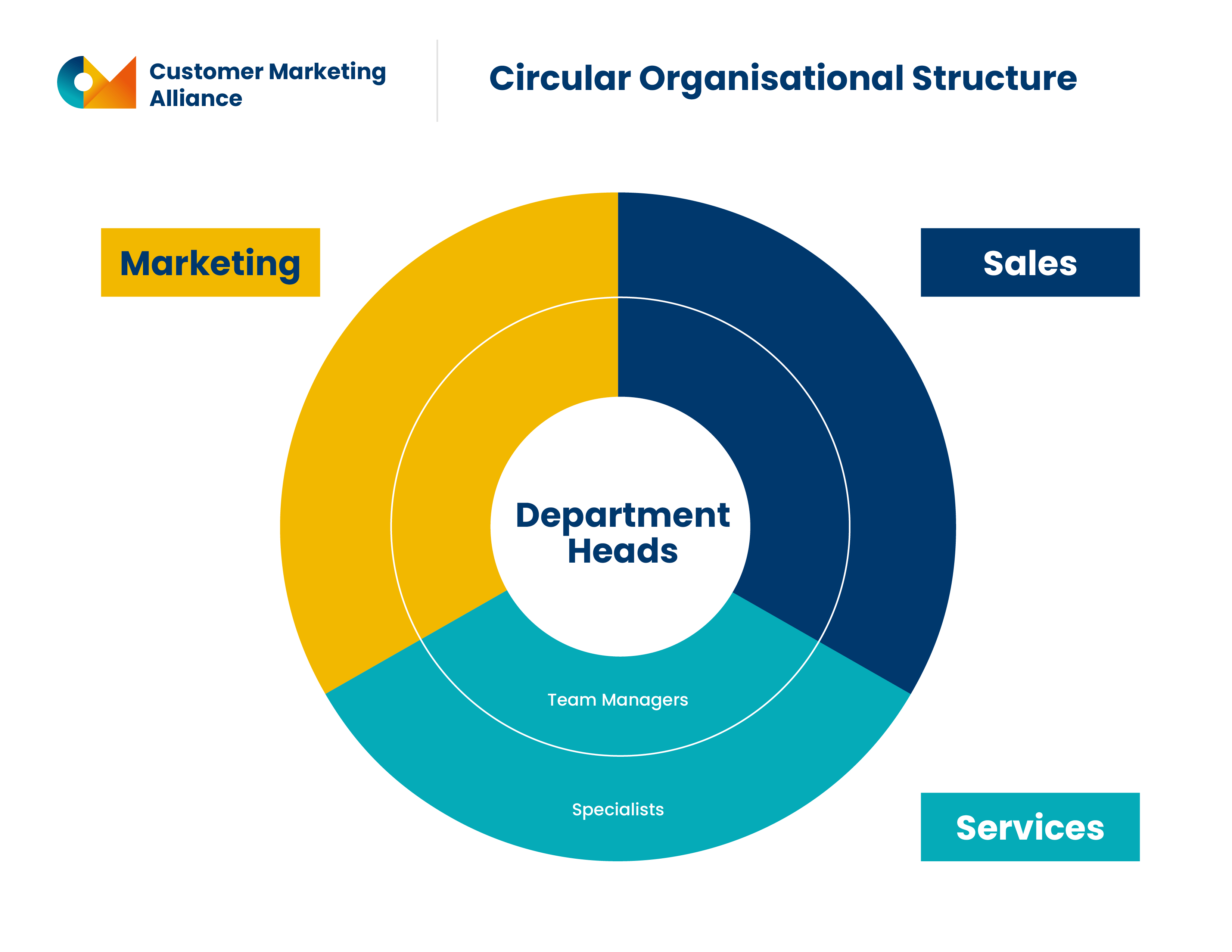 Graphic depicting the Circular Organizational Structure segmented into Marketing, Services, and Sales. The circle begins with Department Heads, which is then surrounded by Team Heads and Specialists.