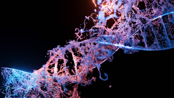 The DNA of a customer marketer